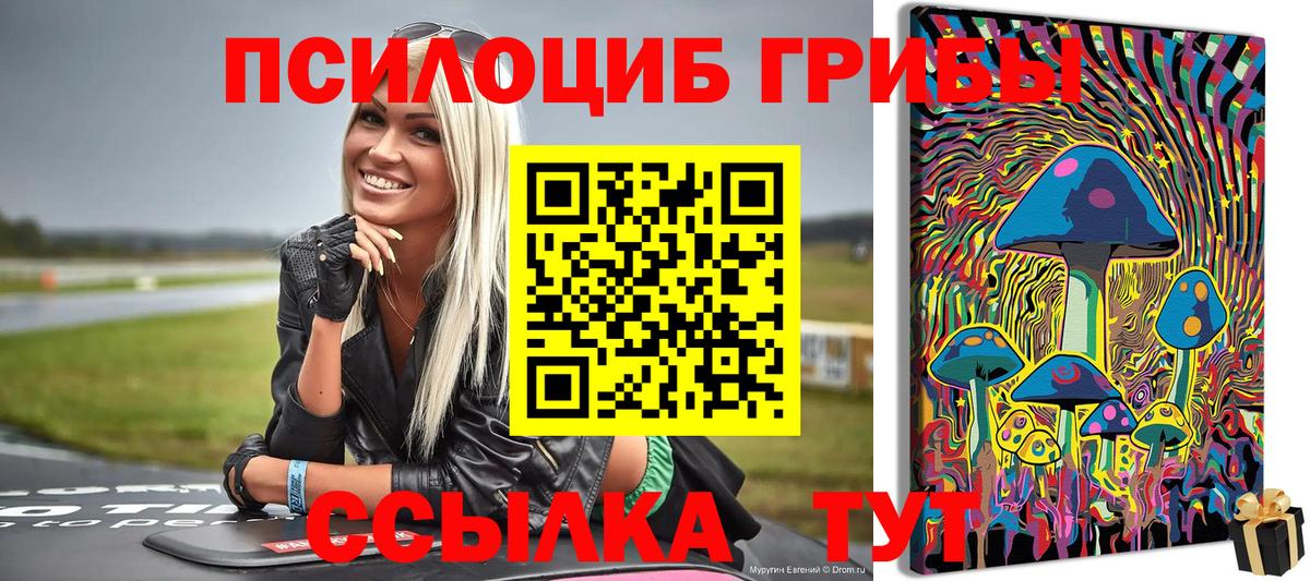 Галлюциногенные грибы Psilocybe  Псилоцибиновые грибы GOLDEN TEACHER  как найти наркотики  Вход с VPN  Ирбит 