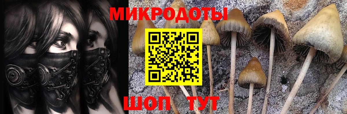 Галлюциногенные грибы GOLDEN TEACHER Ирбит